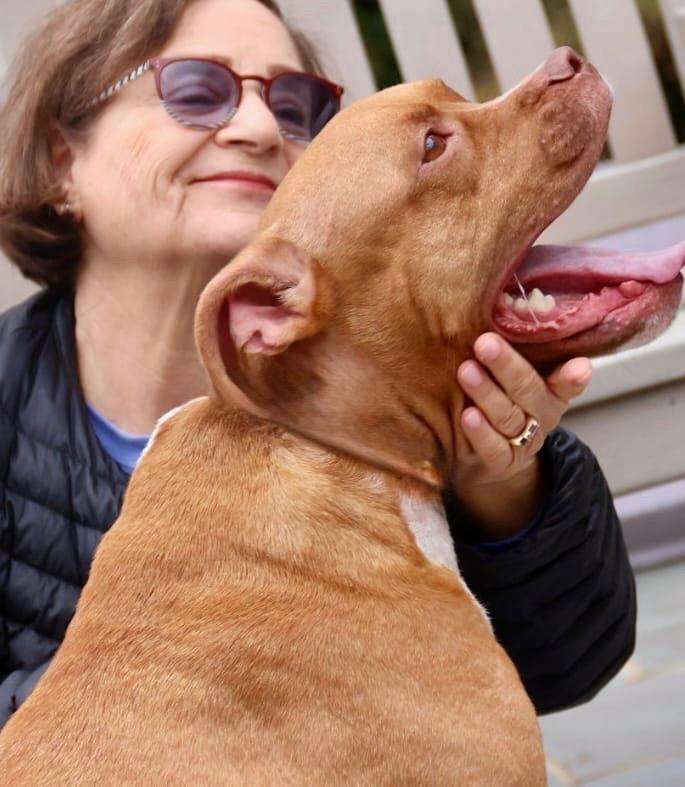 Noah Lee thumbnail 6