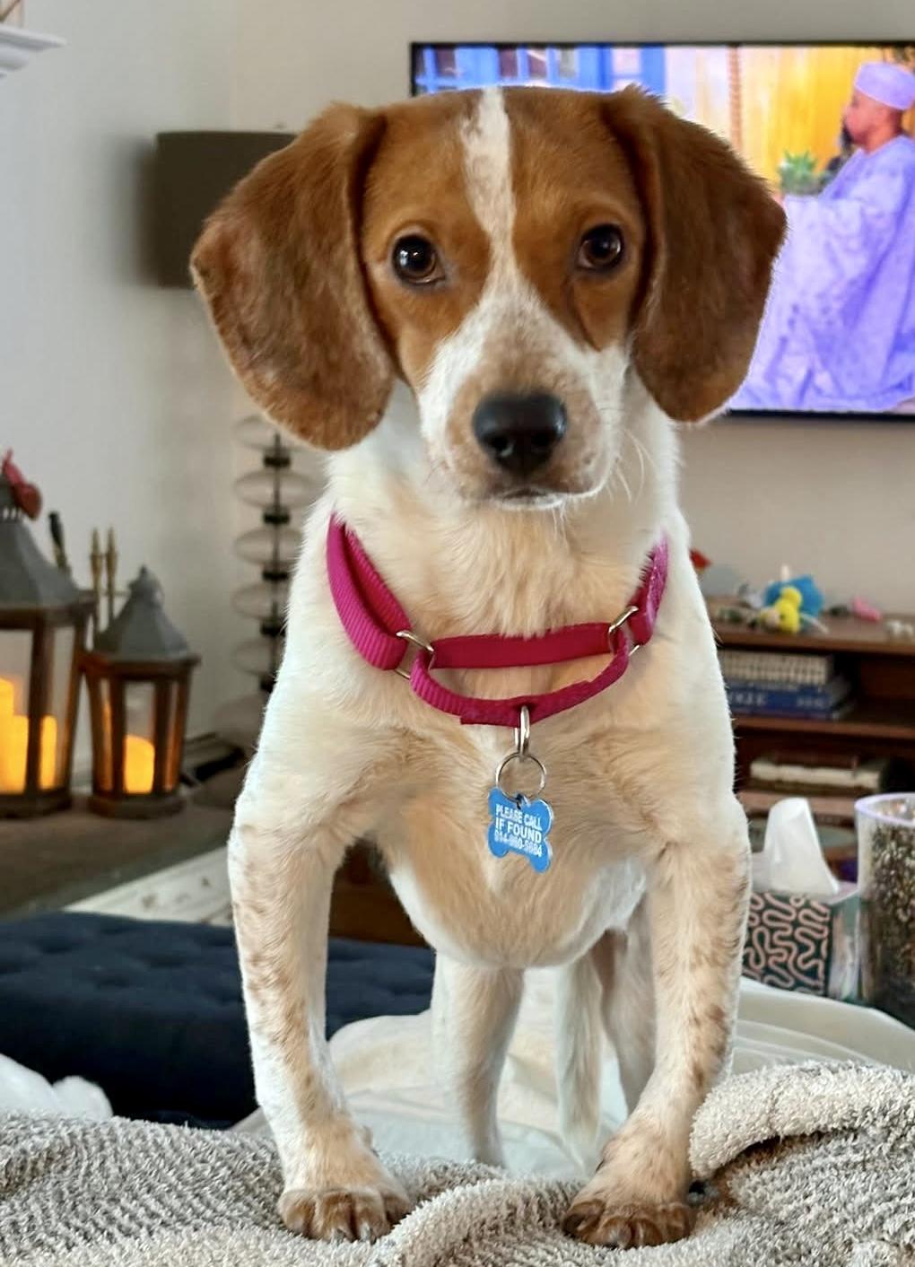 Little Girl — thumbnail 2