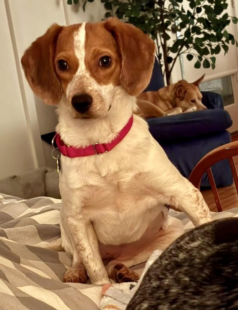 Little Girl — thumbnail 3