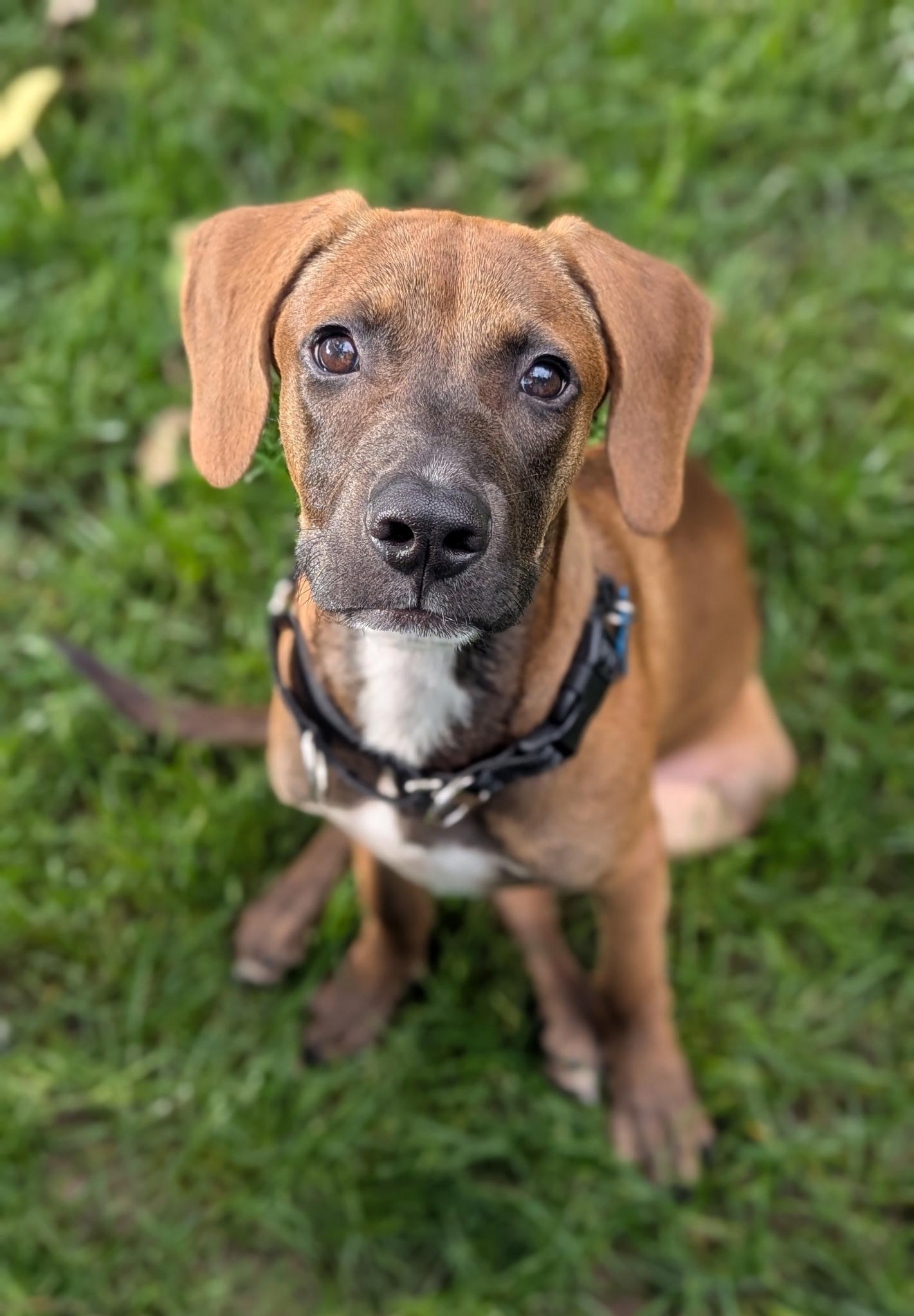 Wesley