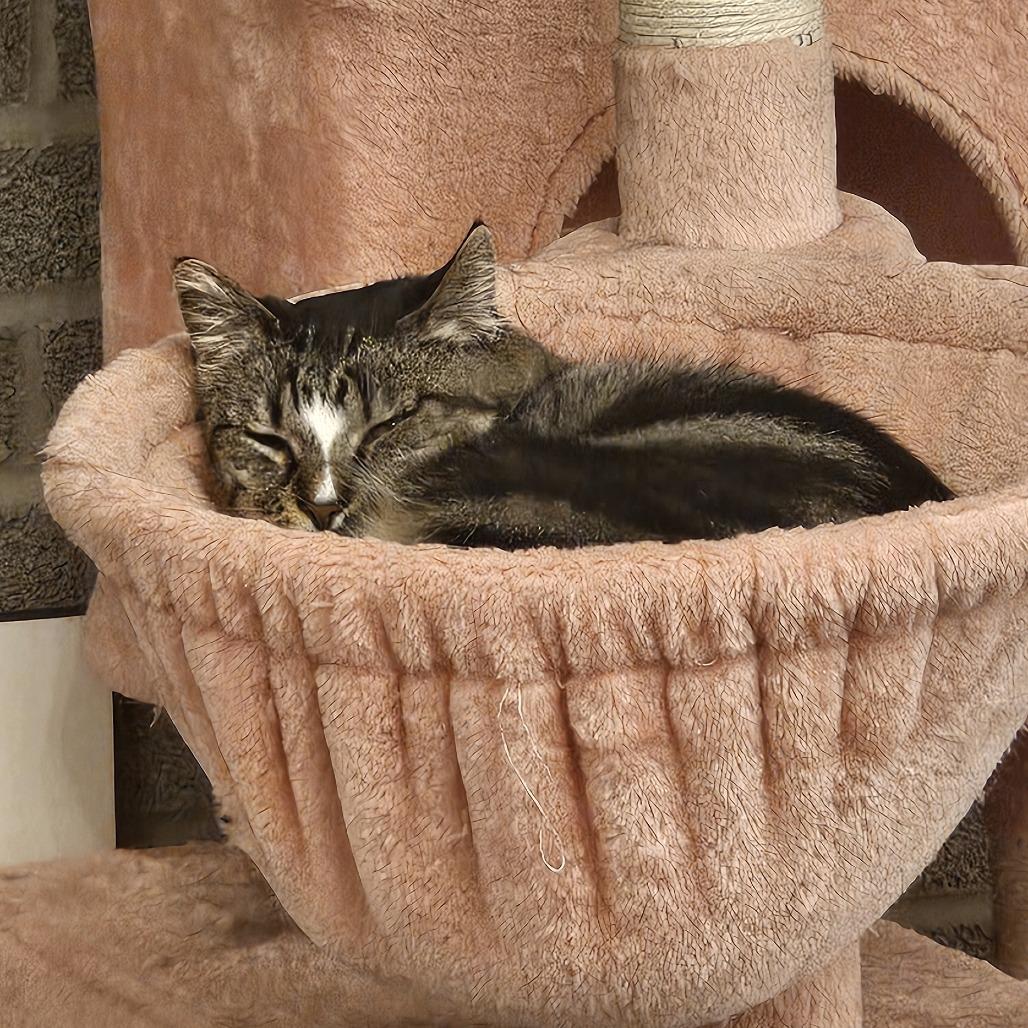 Enlarge Madeleine, a Adoptable Domestic Short Hair in FAIRWAY, KS image 1/4