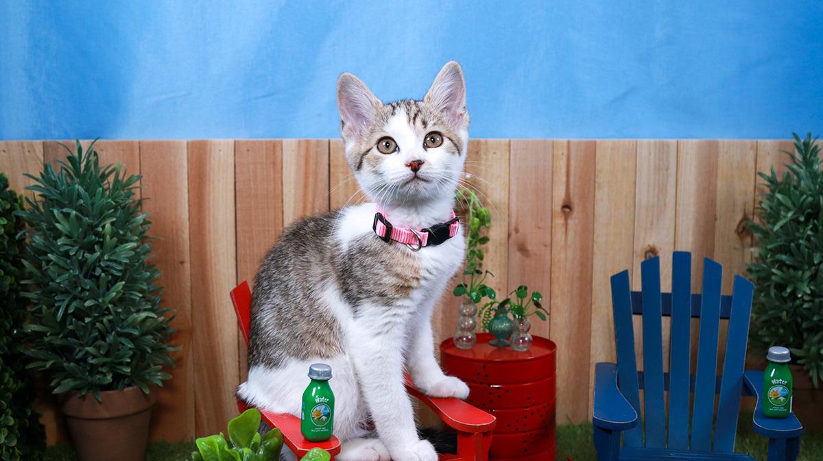 Baby Spice, Baby Female unknown
