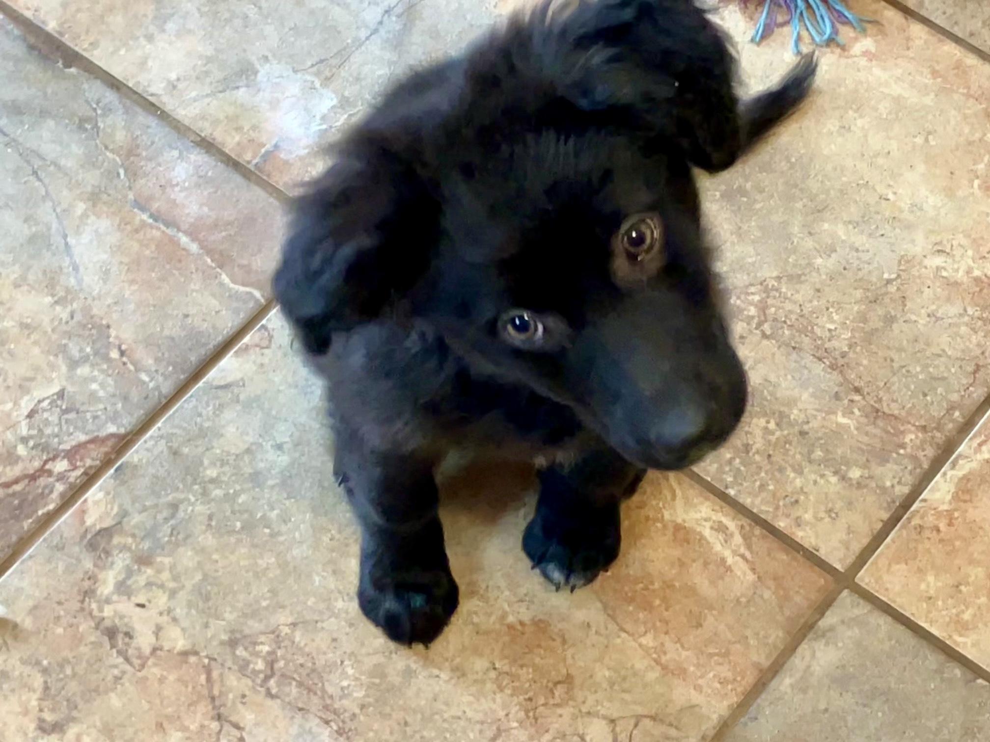 Wednesday thumbnail 3