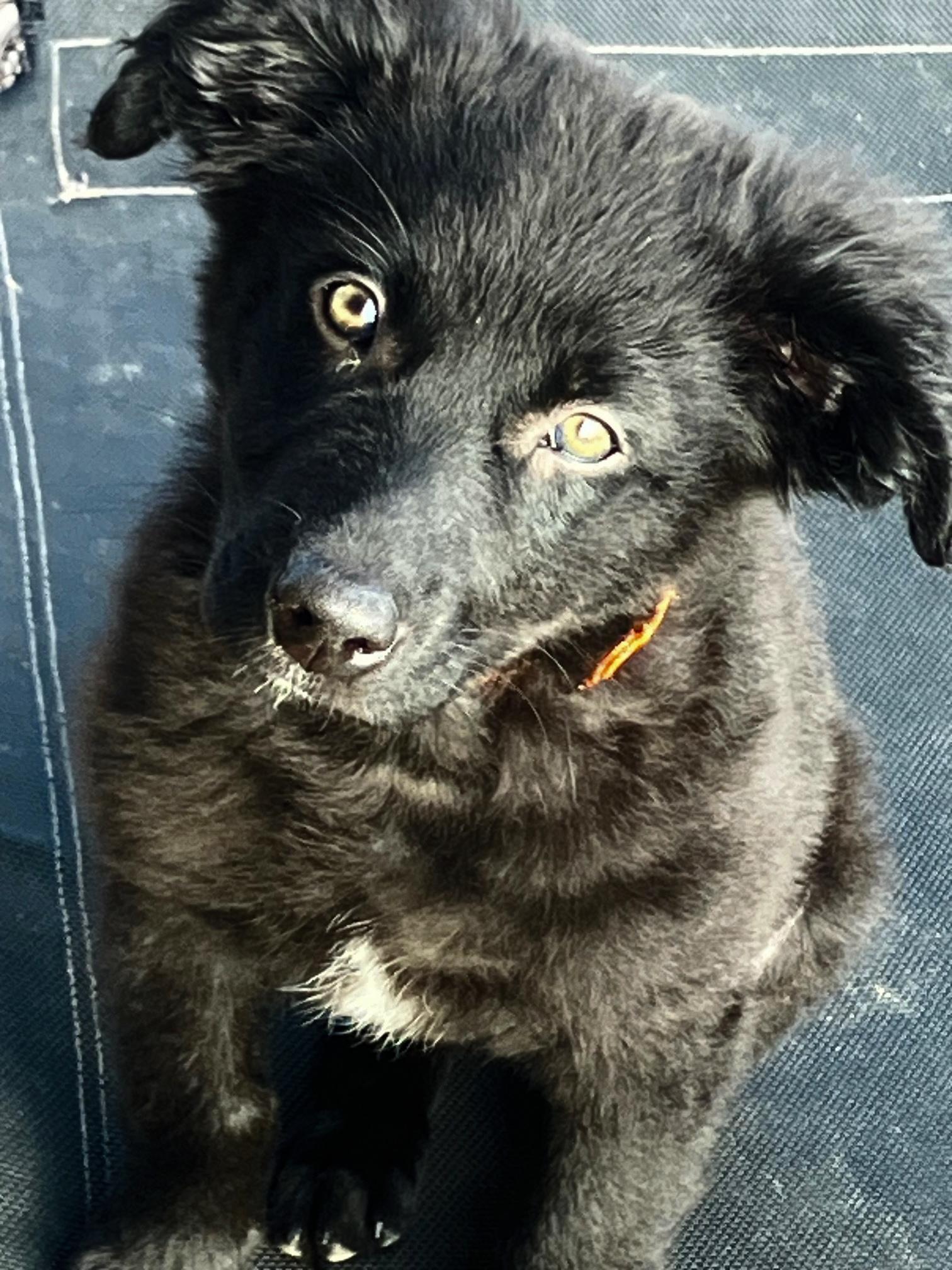 Wednesday thumbnail 5