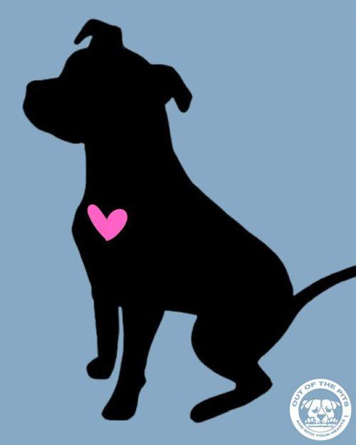 Sweet Pea (6 months old), ADOPTABLE, Puppy Female Pit Bull Terrier.