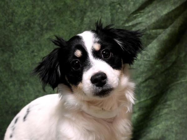 Ashley — thumbnail 2