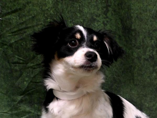 Ashley — thumbnail 3