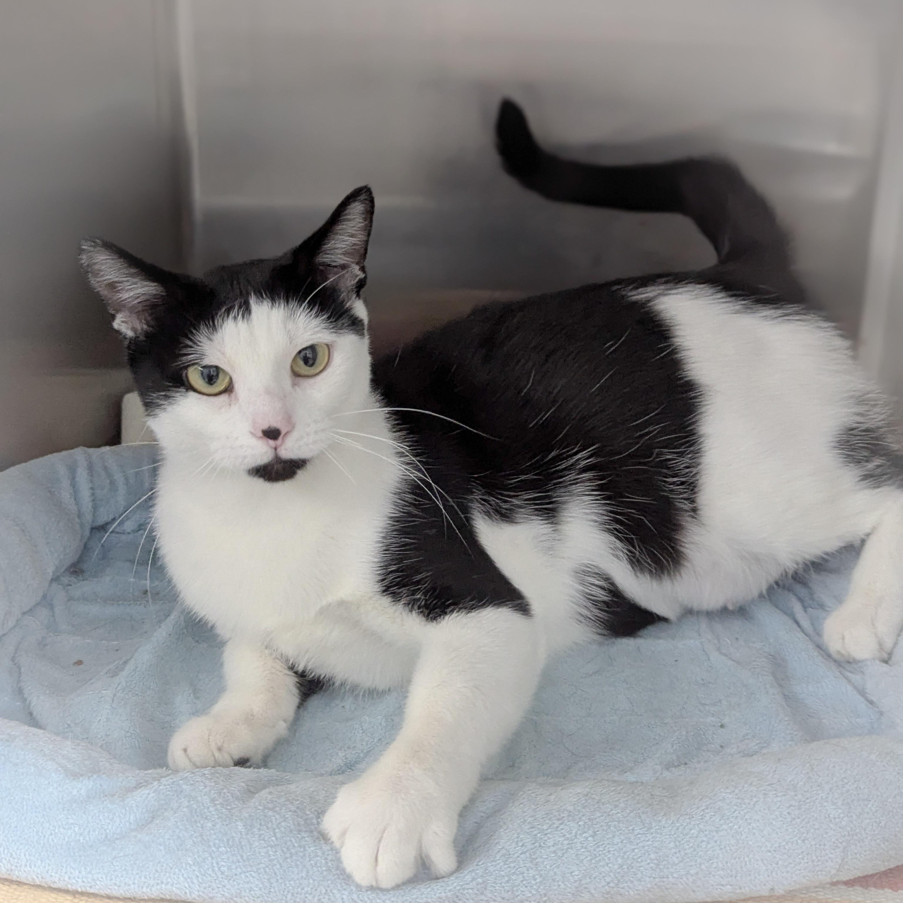 September thumbnail 4