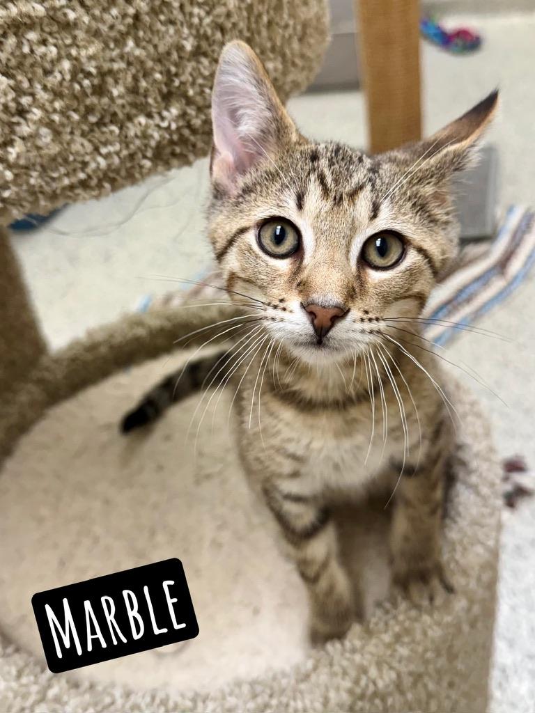 Marble