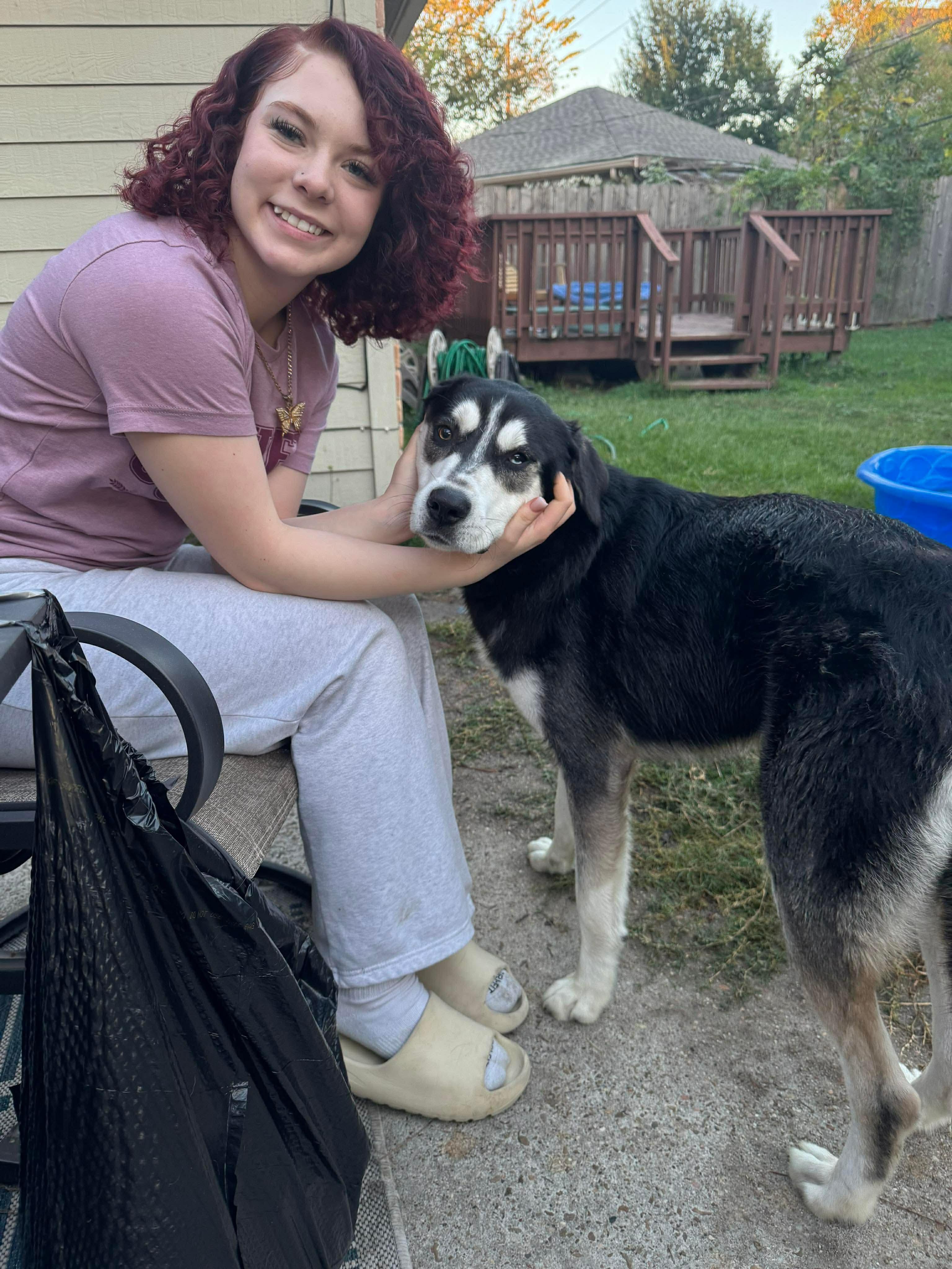 Ivan, a Adoptable mixed breed in Humble, TX image 3/6