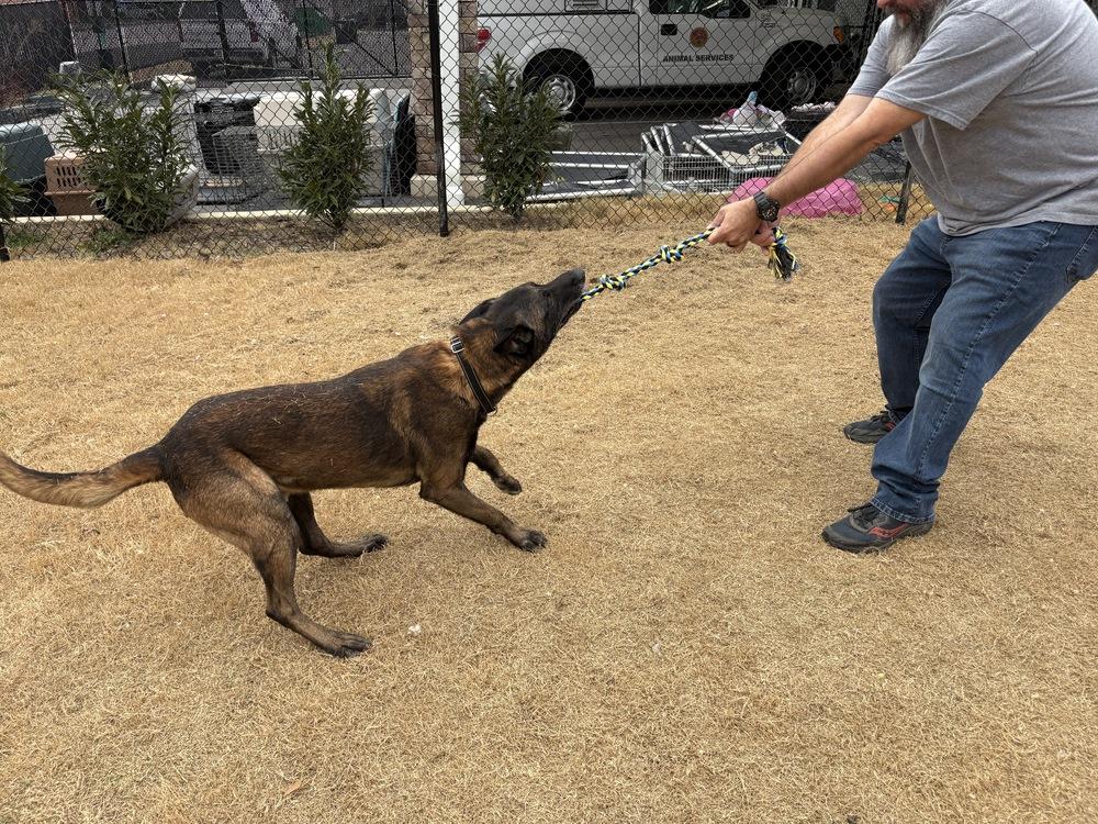 Retiarius  Located In thumbnail 3