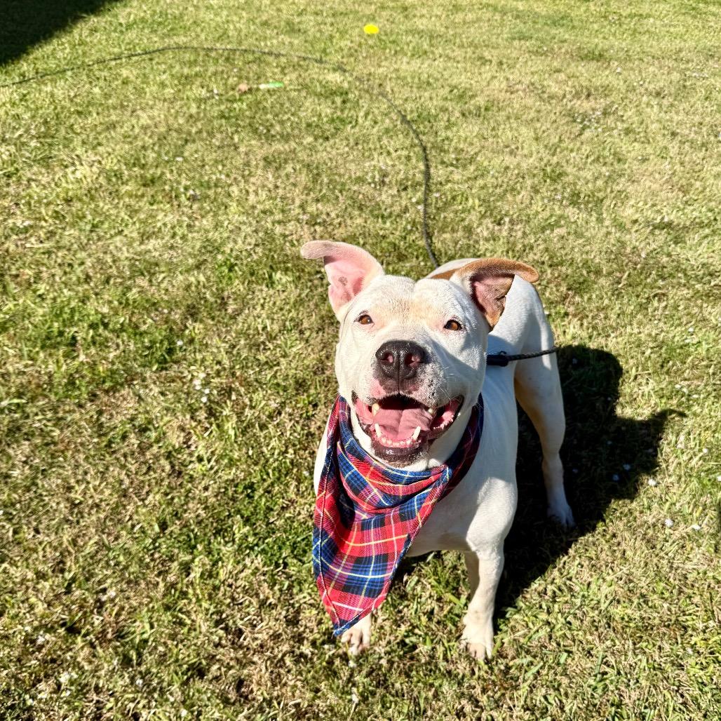 Mazda — thumbnail 4