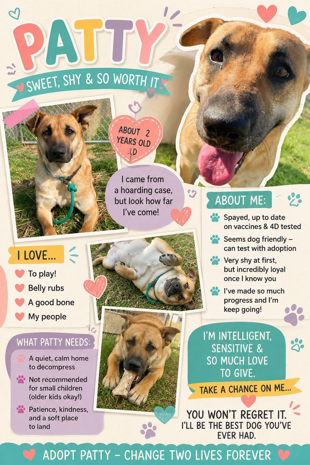Patty, a ADOPTABLE mixed breed in Sulphur, KY image 4/4