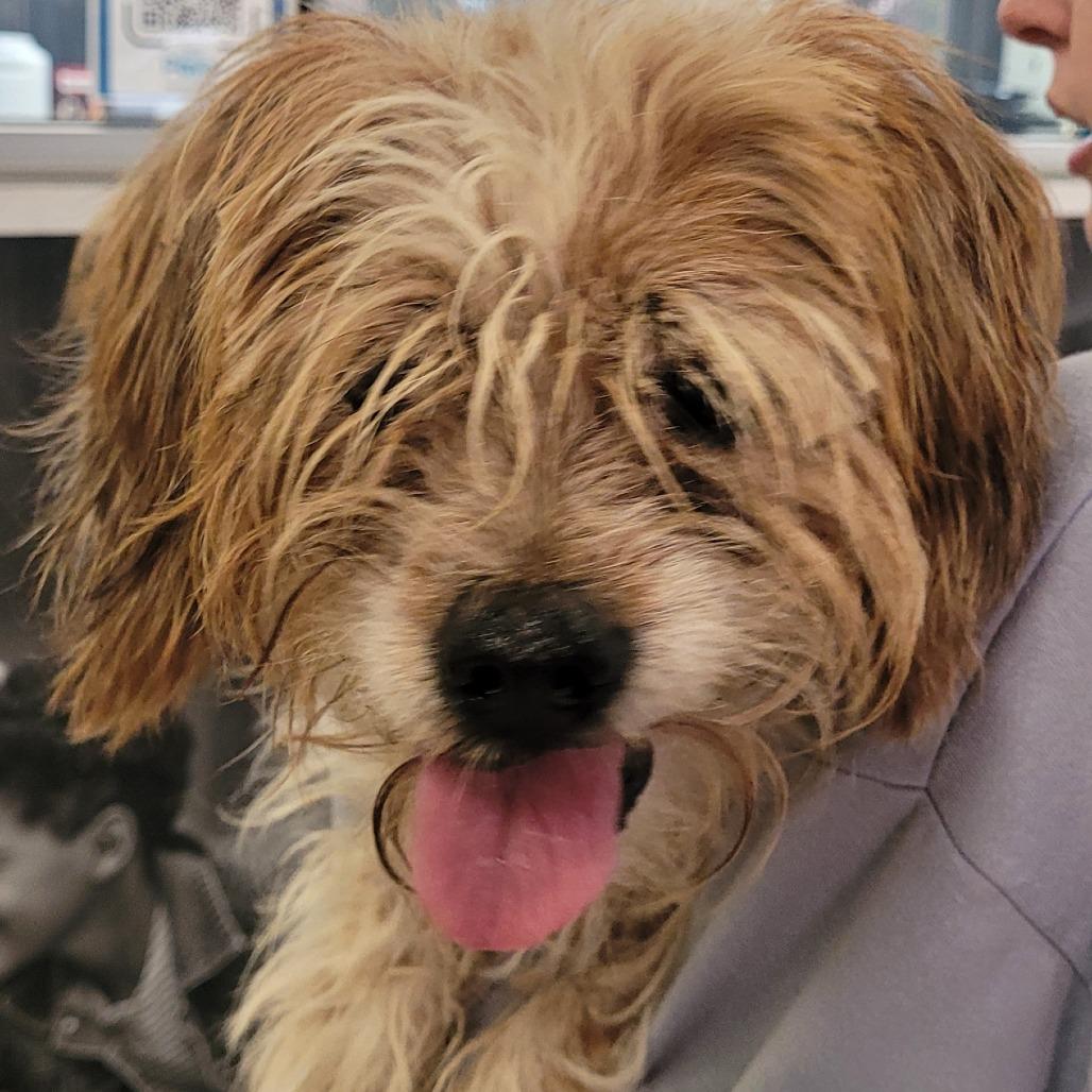 Charlie B thumbnail 2