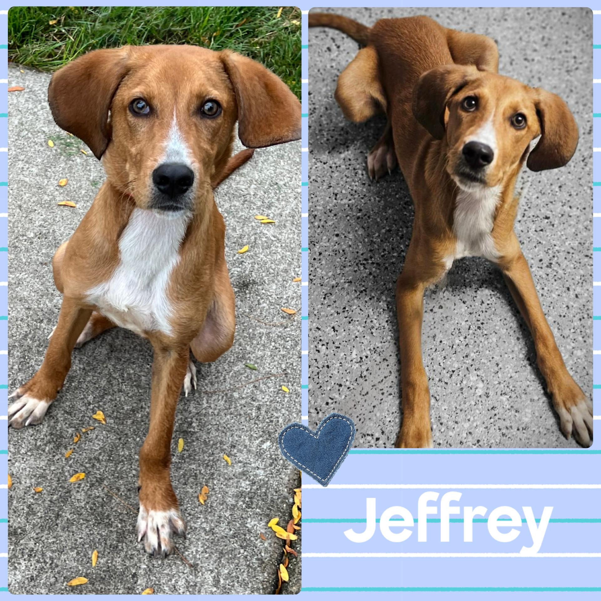Jeffrey
