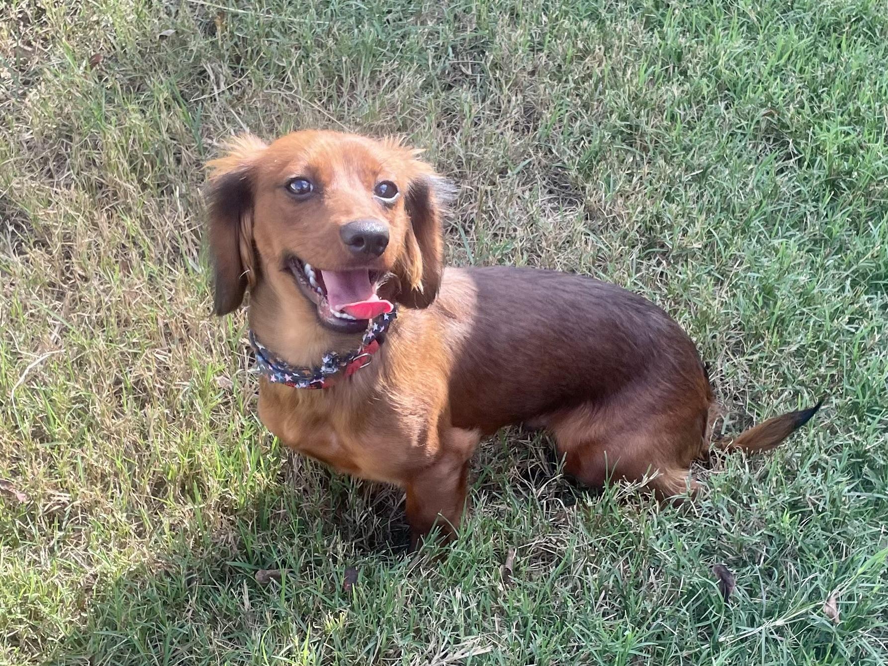 Jesse in Texarkana TX