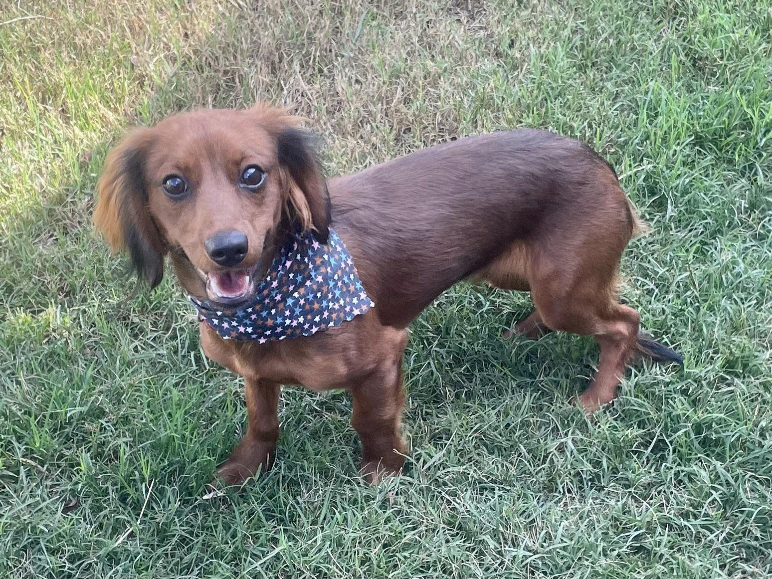 Jesse in Texarkana TX