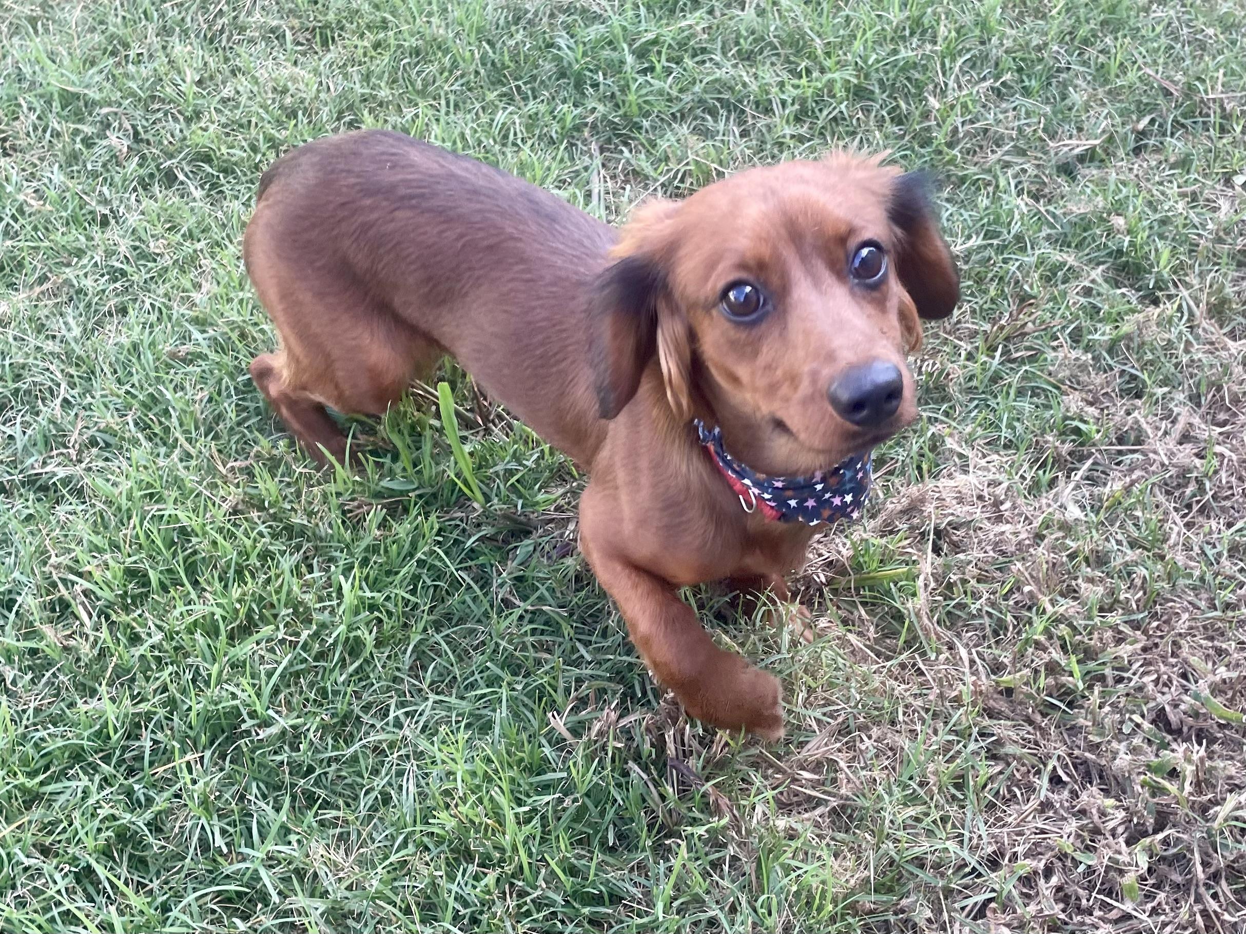 Jesse in Texarkana TX