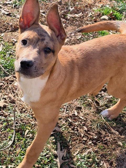 Jimmy — thumbnail 3