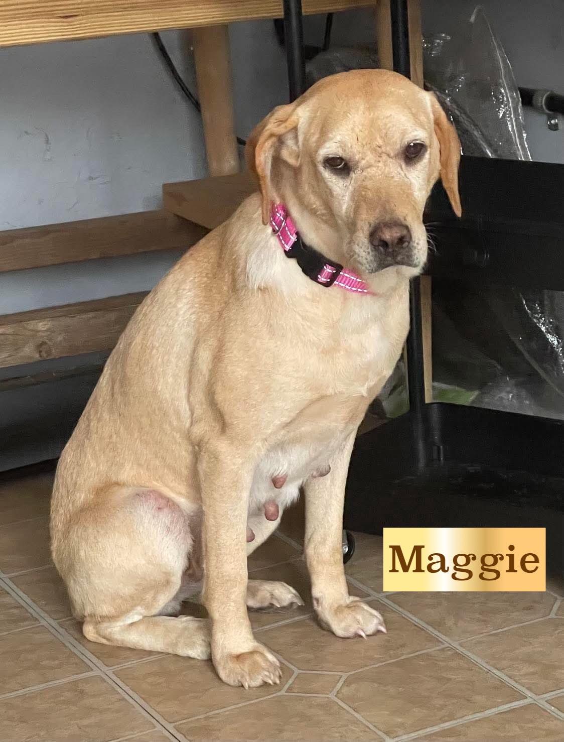Maggie