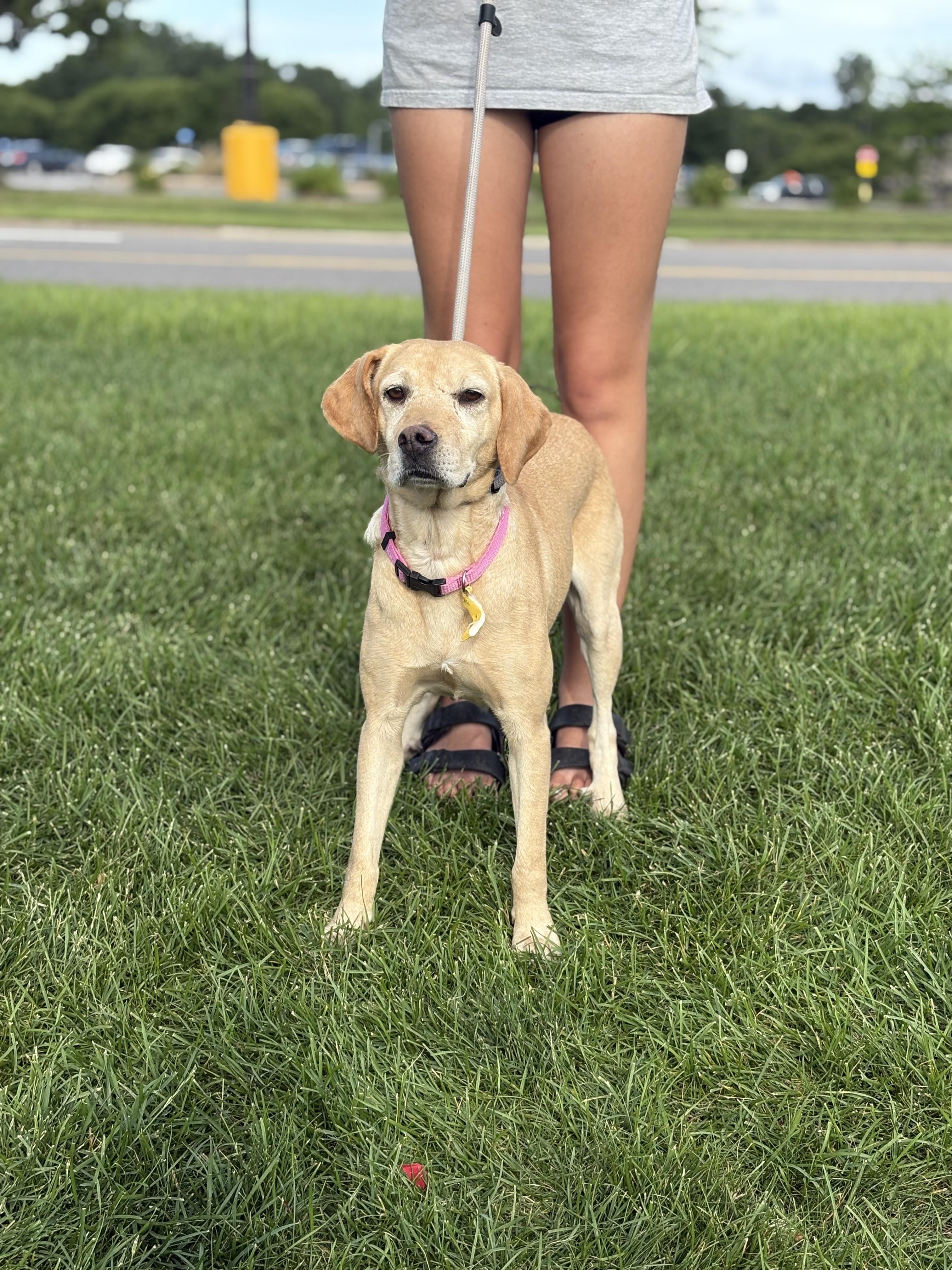 Maggie