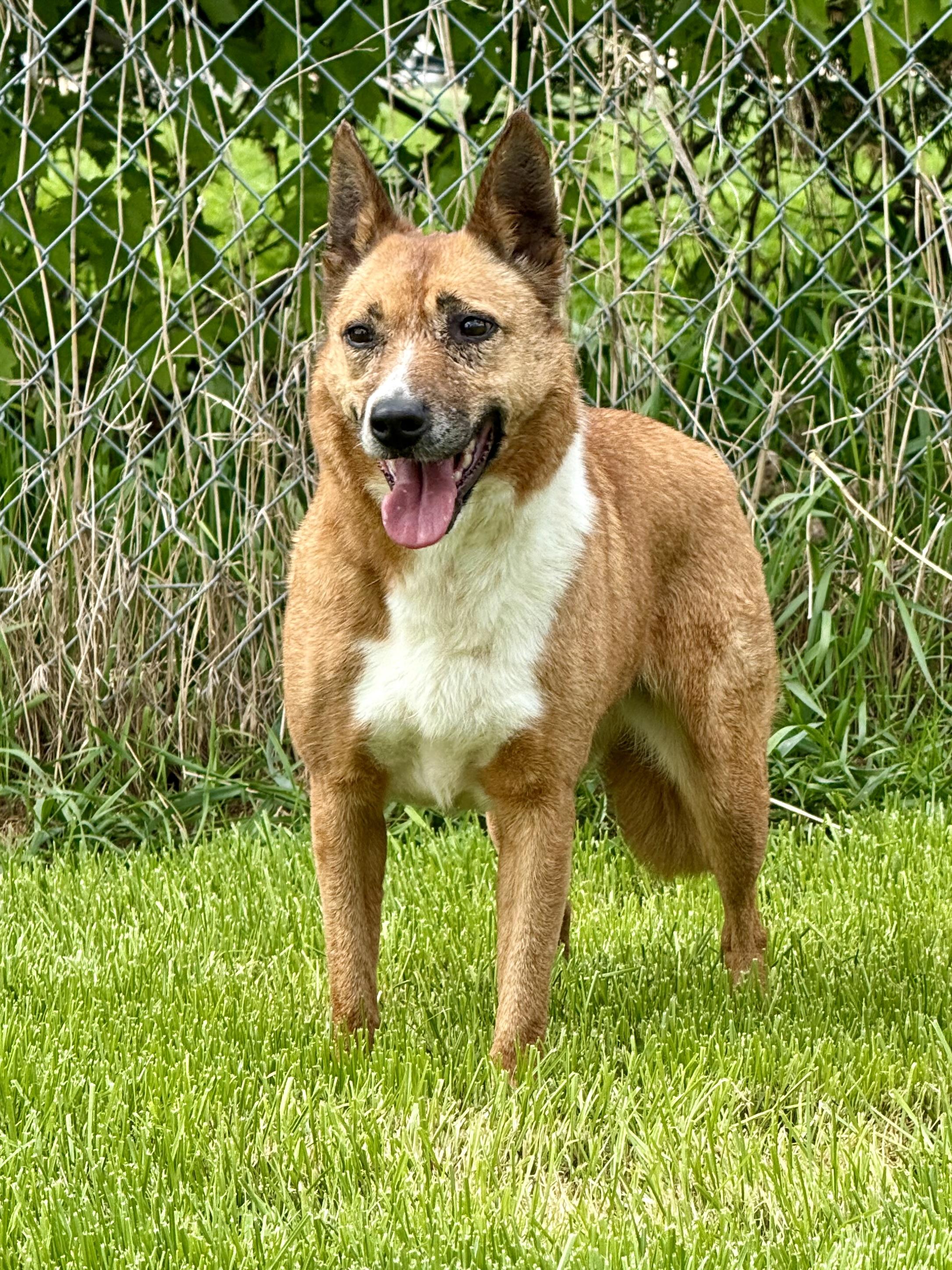 Nellie photo 3