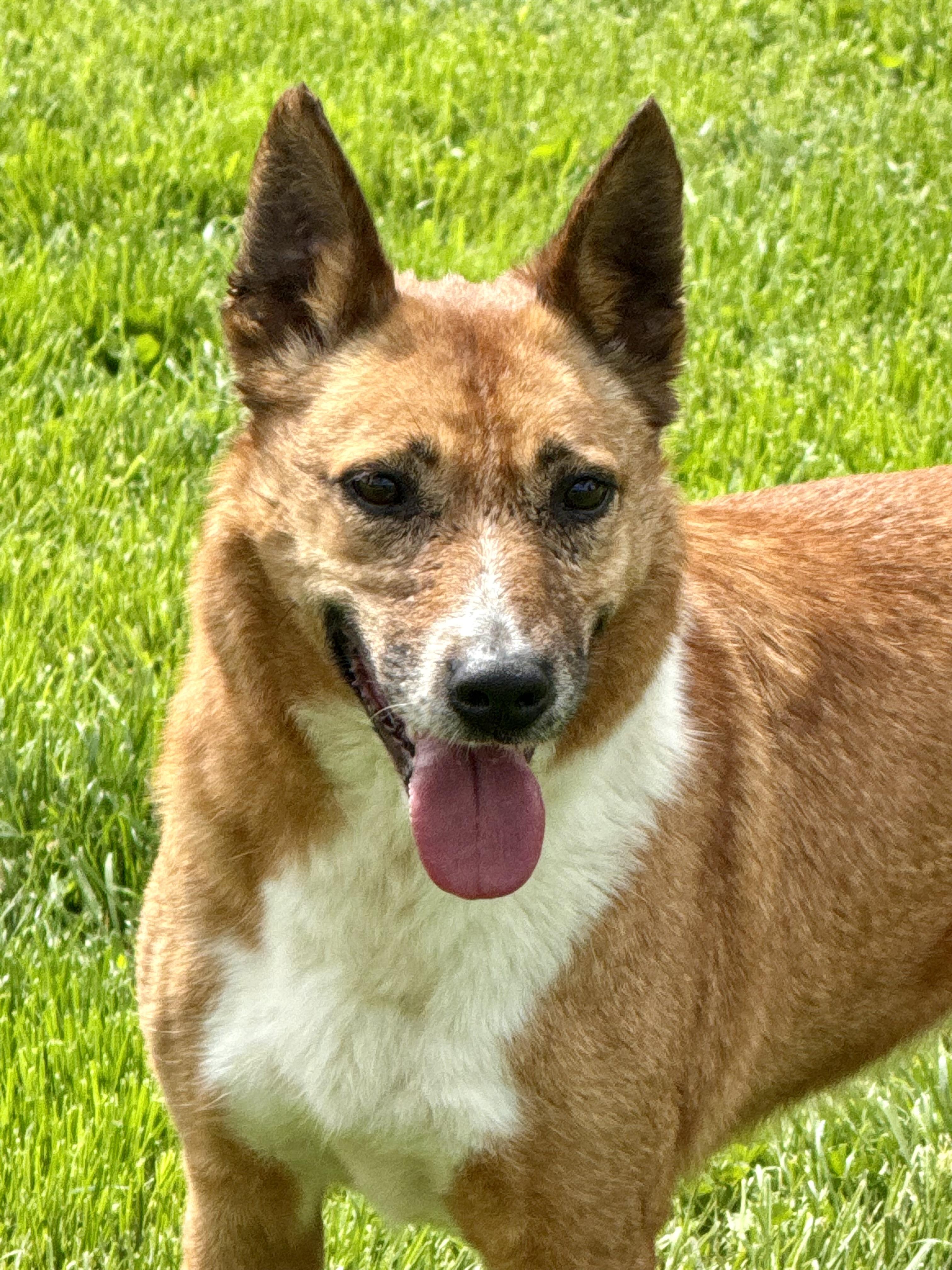 Nellie photo 4
