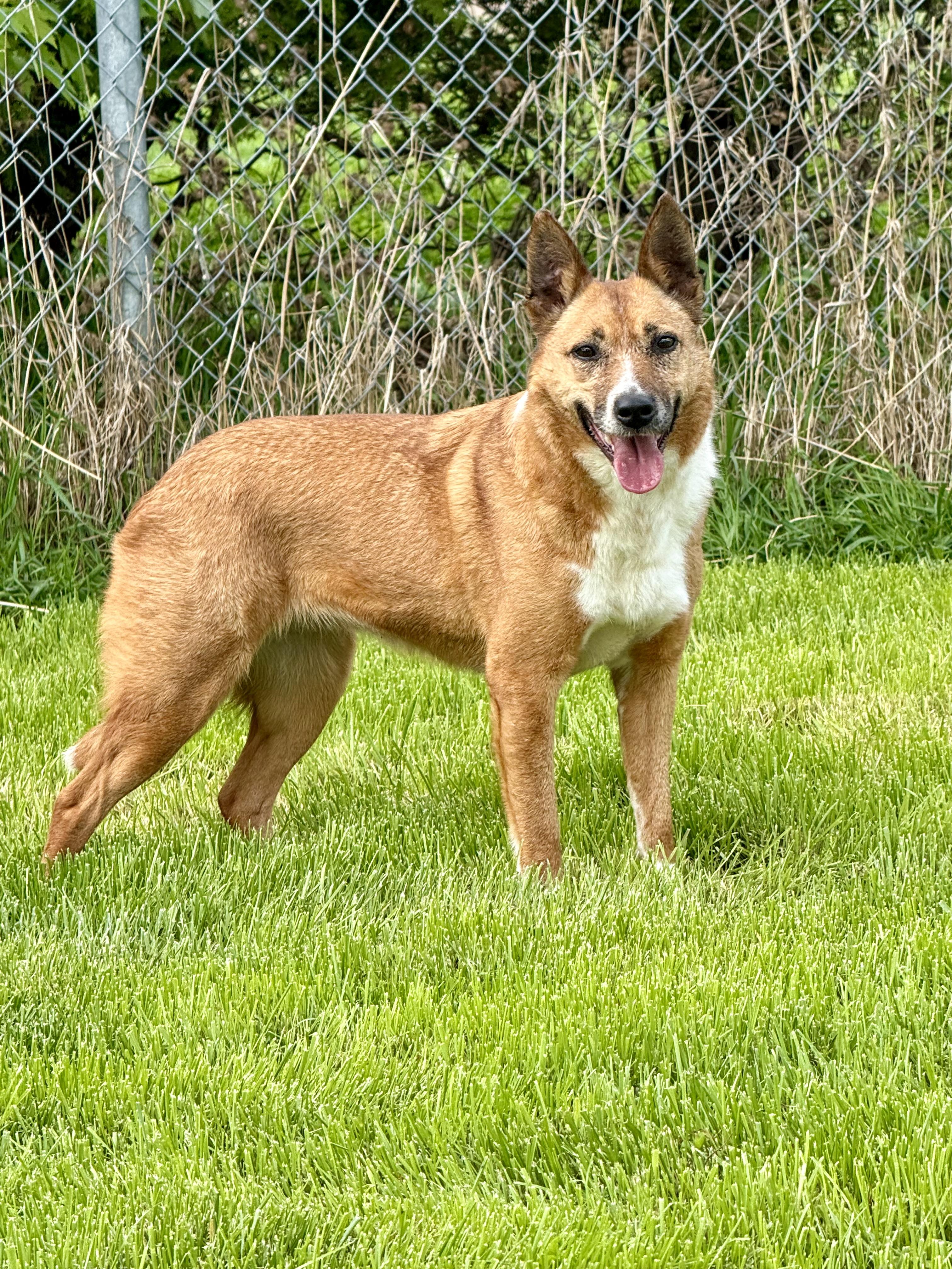 Nellie photo 2