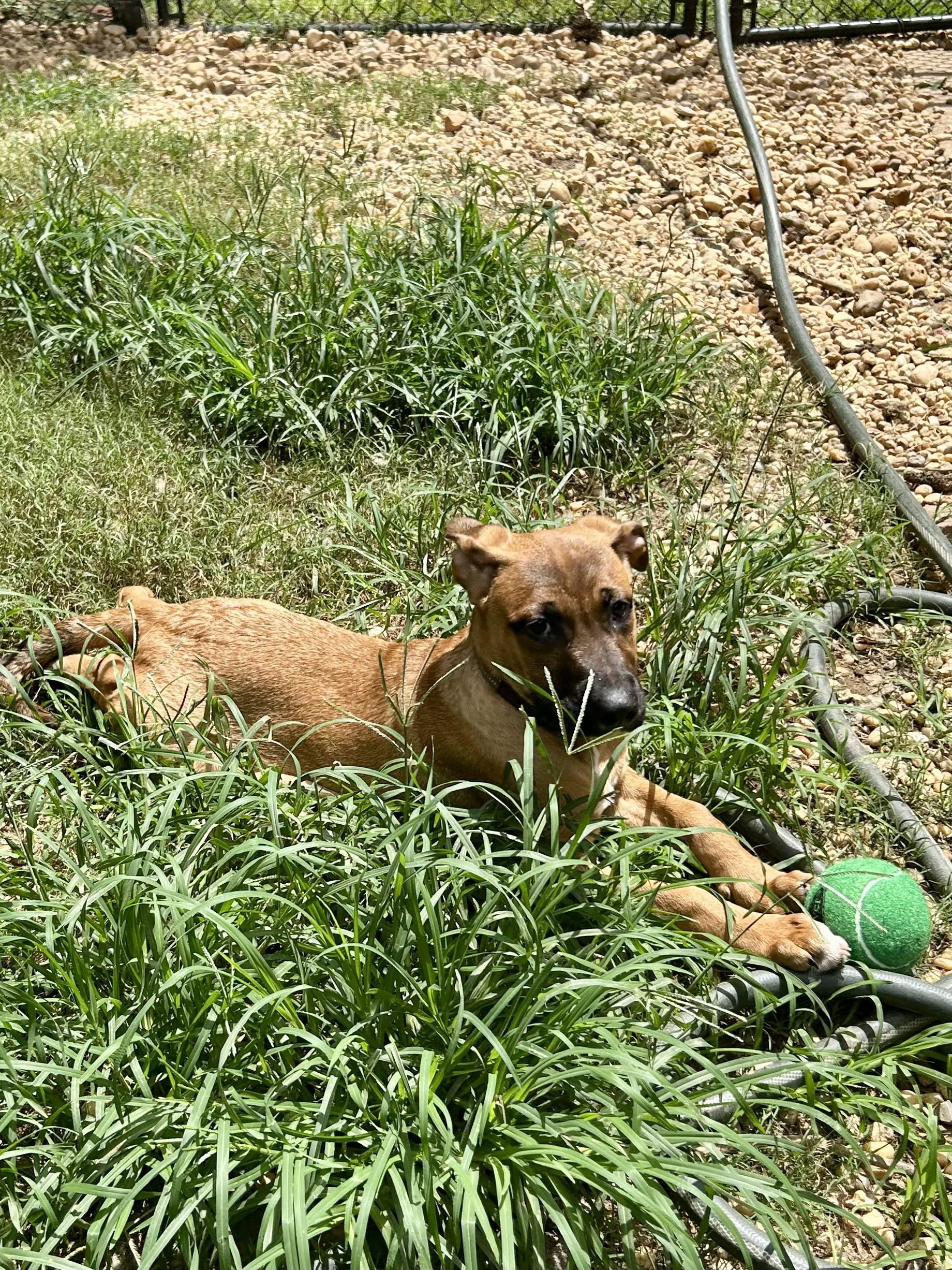 FRANK — thumbnail 2