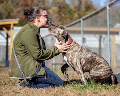 Skylar fka Piggy — thumbnail 2