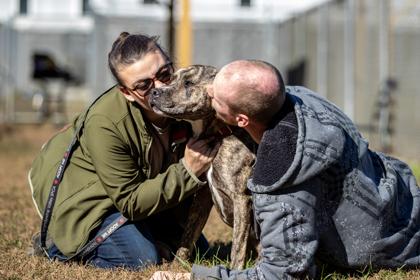 Skylar fka Piggy — thumbnail 3