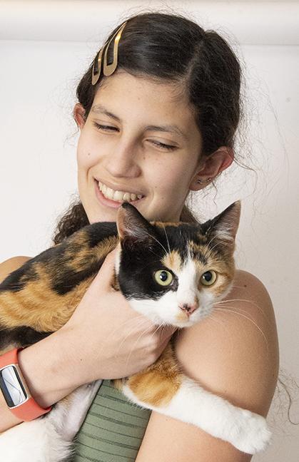 Enlarge Bunny, an adoptable Calico in Chicago, IL image 5/6