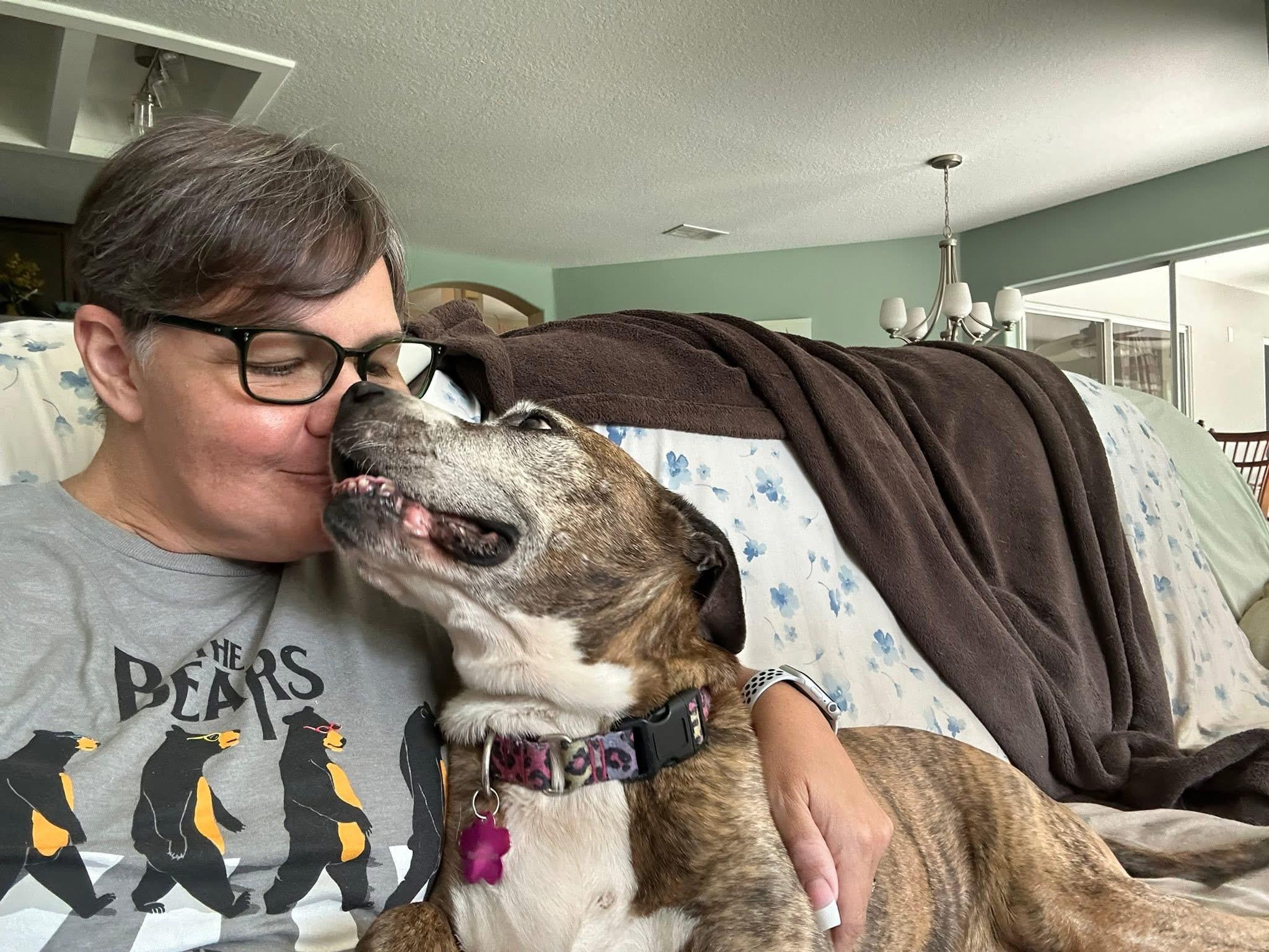 Maybelle, Adoptable, Senior Female Mixed Breed.