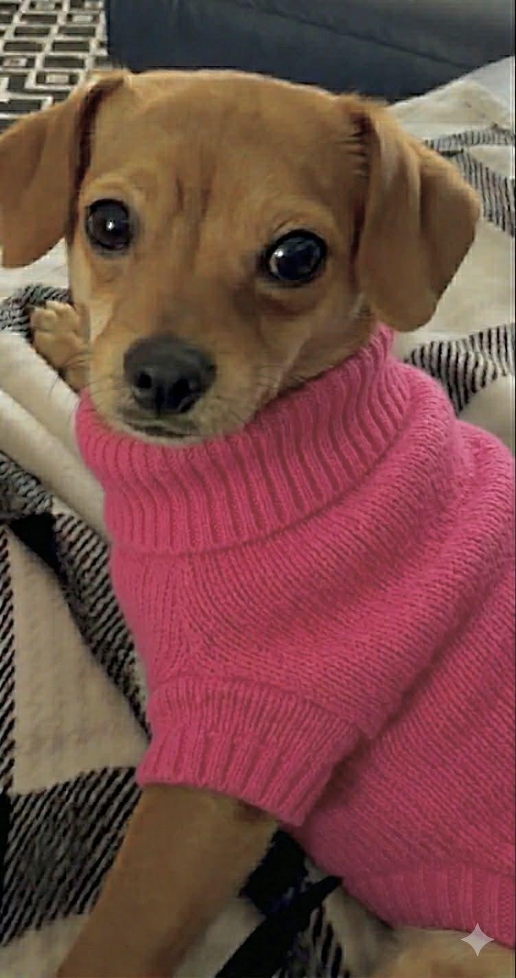 Ruby — thumbnail 2