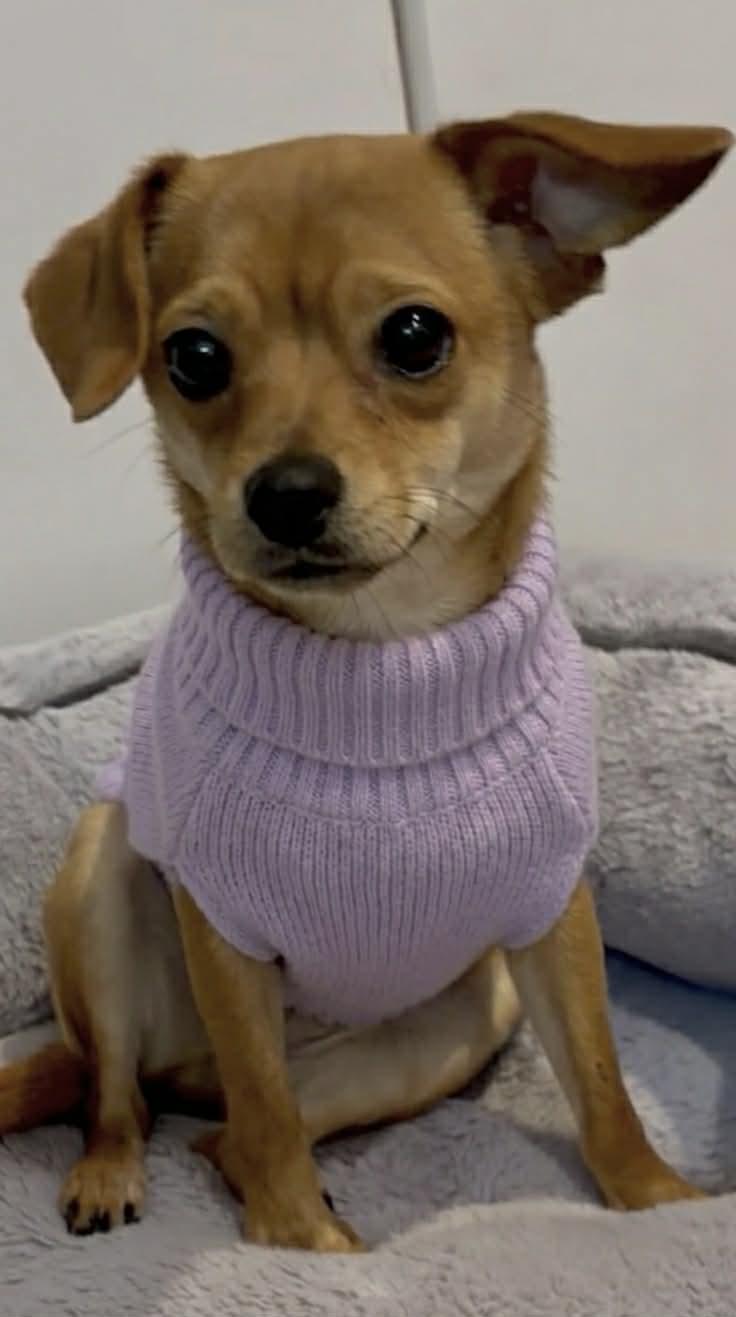 Ruby — thumbnail 3