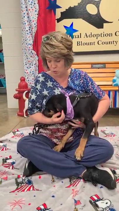 Enlarge Emerald, a ADOPTABLE Mixed Breed in Woolwich, ME video 3/3
