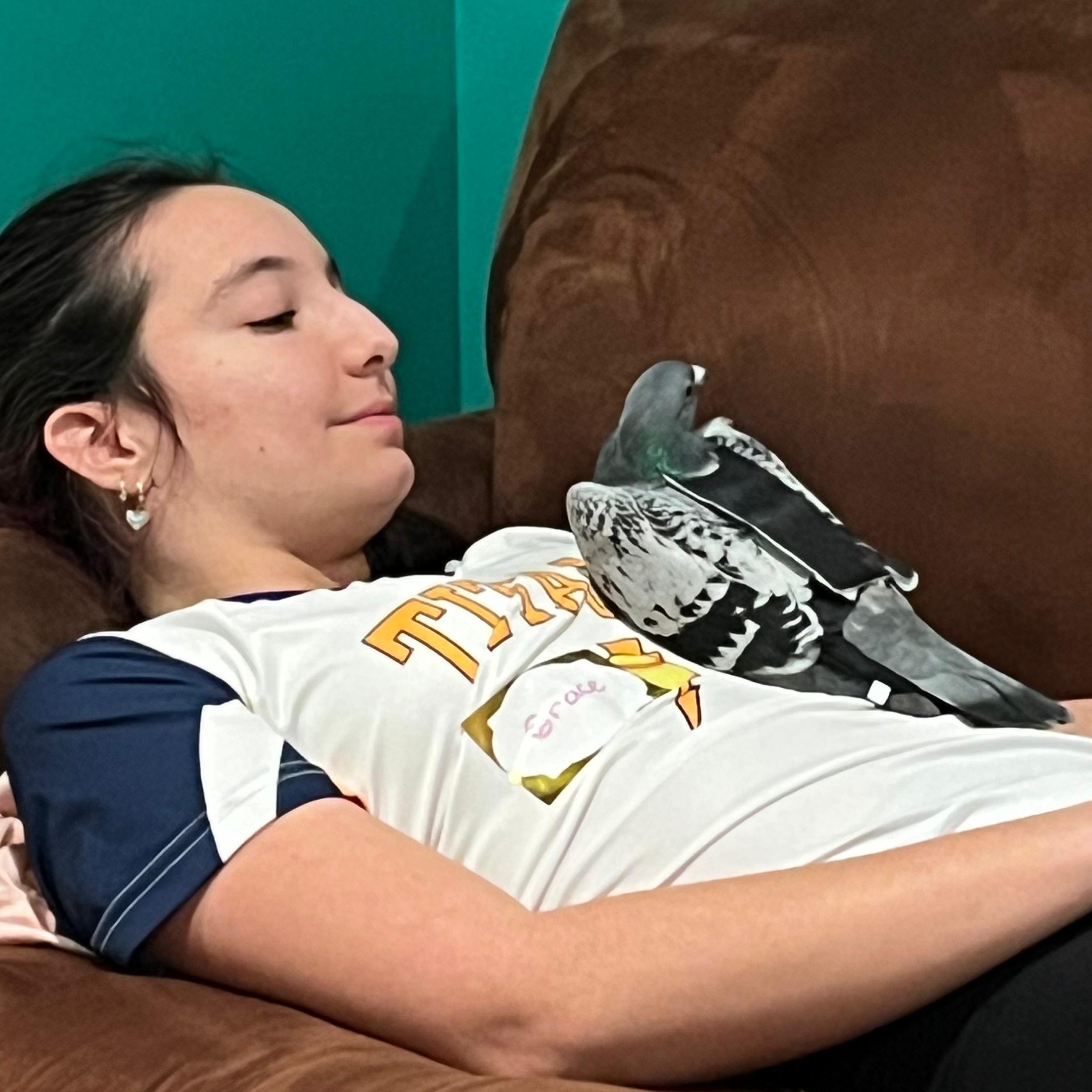 Enlarge Trooper, a Adoptable Pigeon in Chicago, IL image 5/5