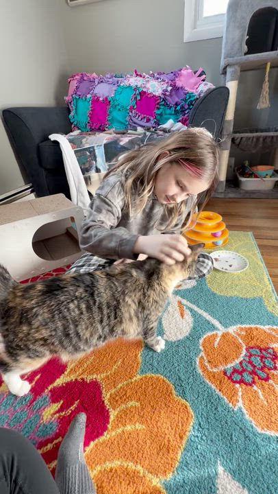 Enlarge Nalah, a ADOPTABLE mixed breed in Kennebunk , ME video 3/3