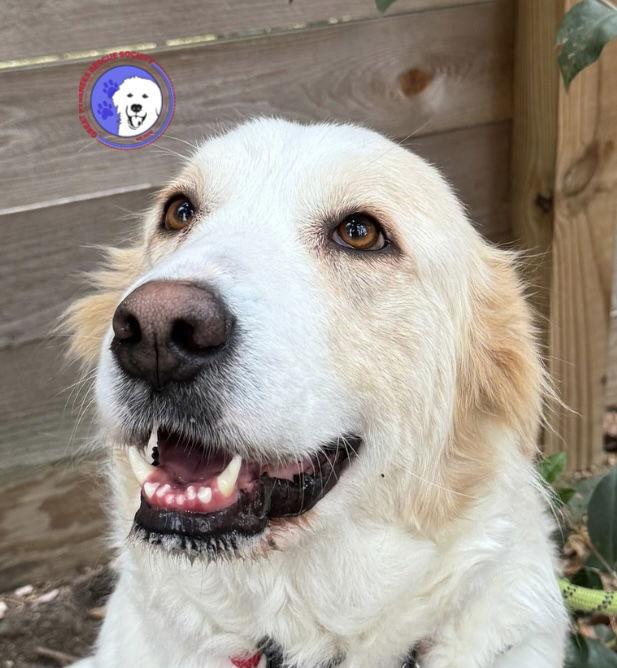 Eira — thumbnail 3