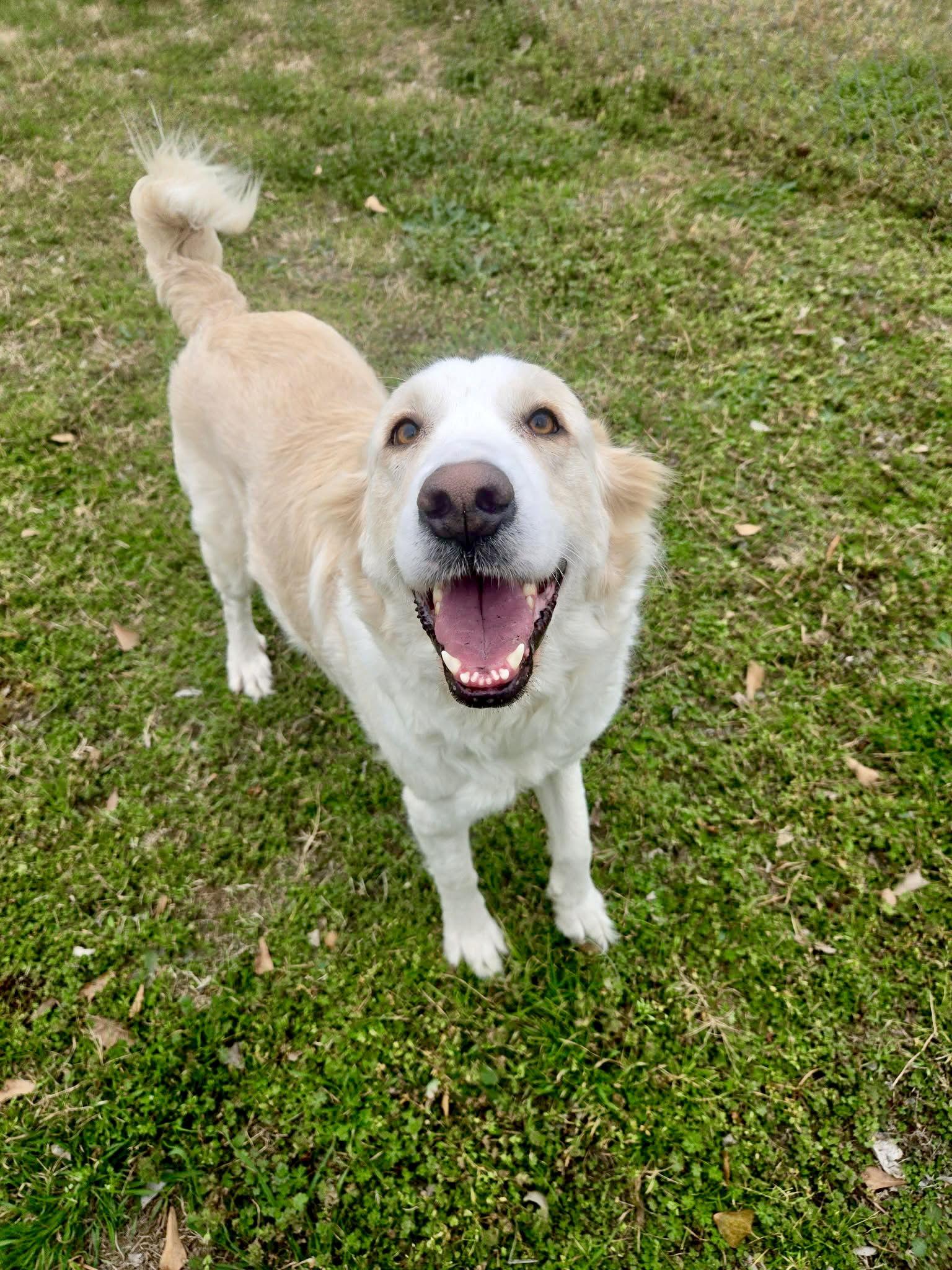 Eira — thumbnail 4