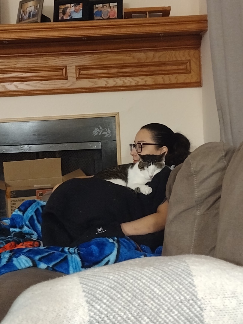 Enlarge Sabertooth, an adoptable mixed breed in Parker, TX image 6/6