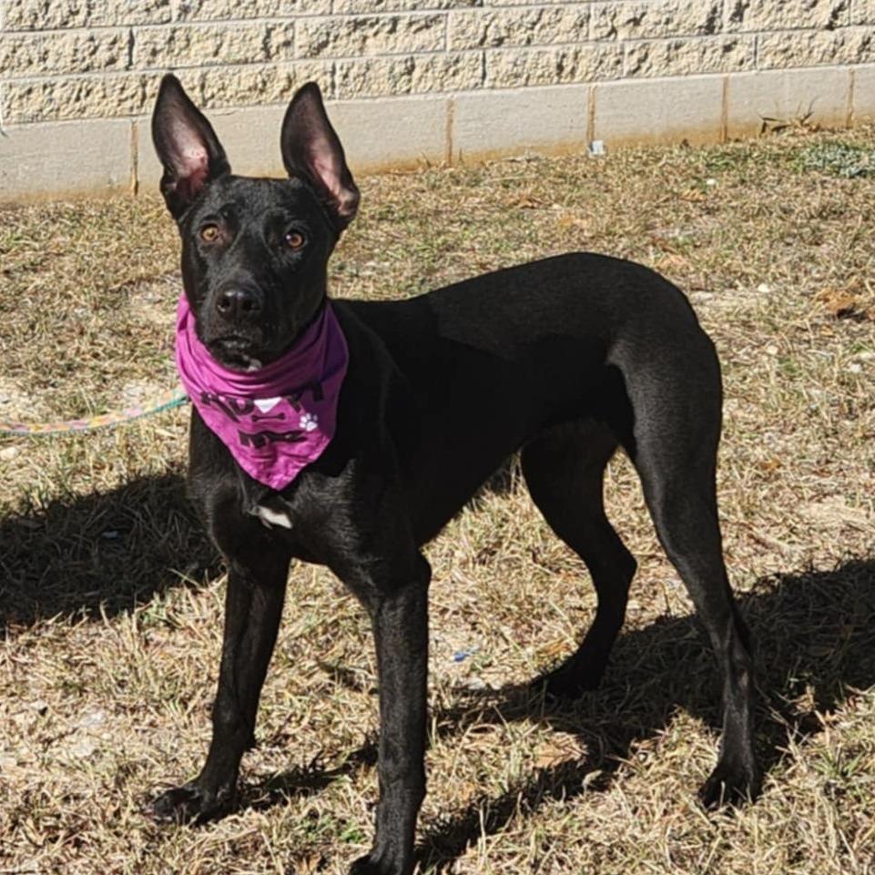 Truffles Bw thumbnail 5