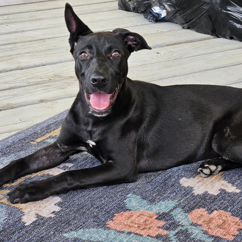 Truffles Bw thumbnail 7