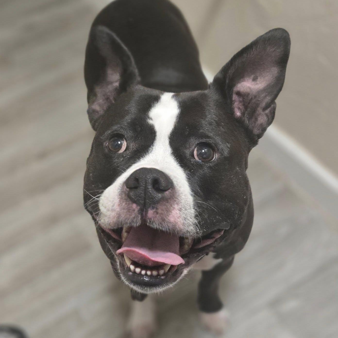 Zoey
