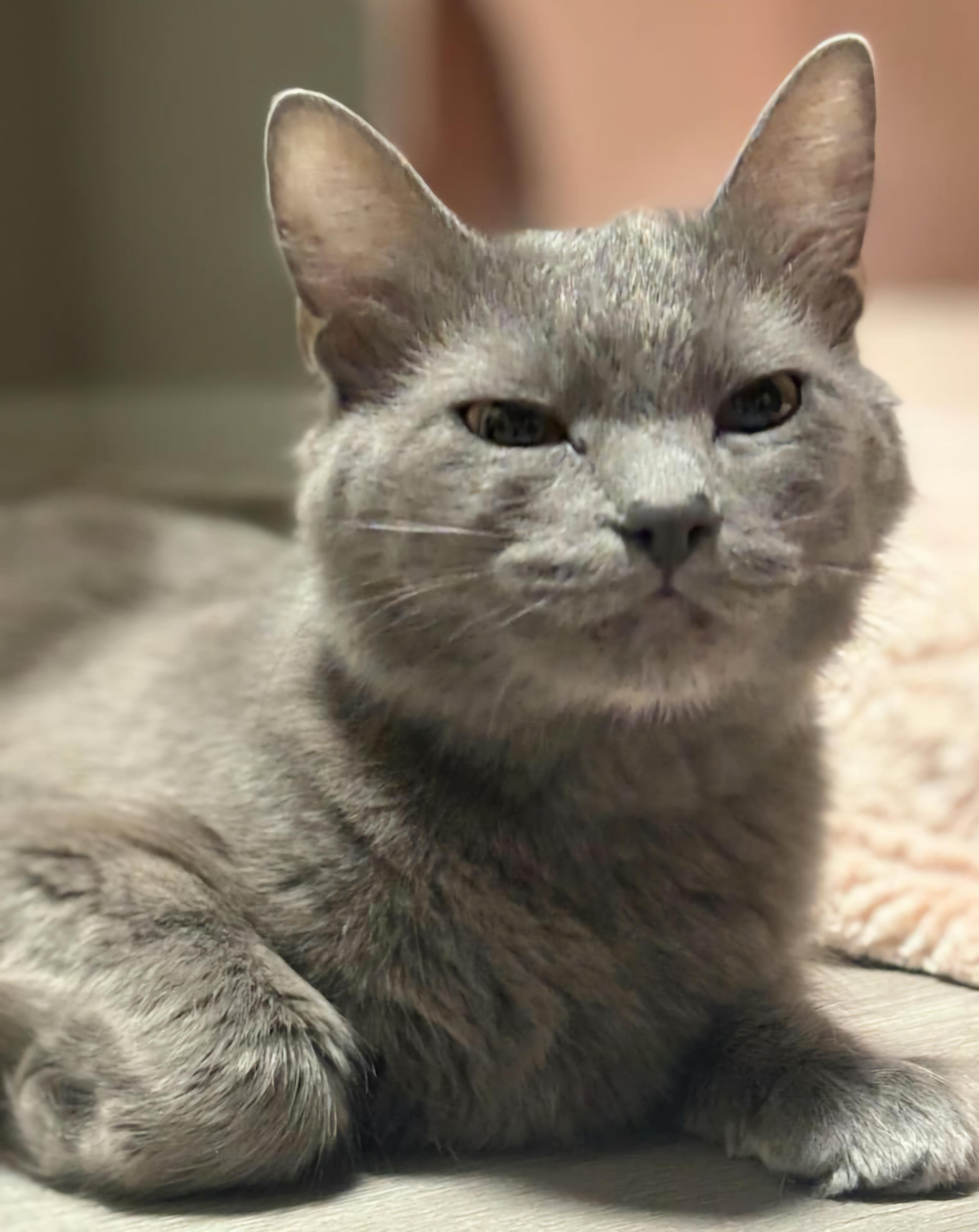 Ms. Claws