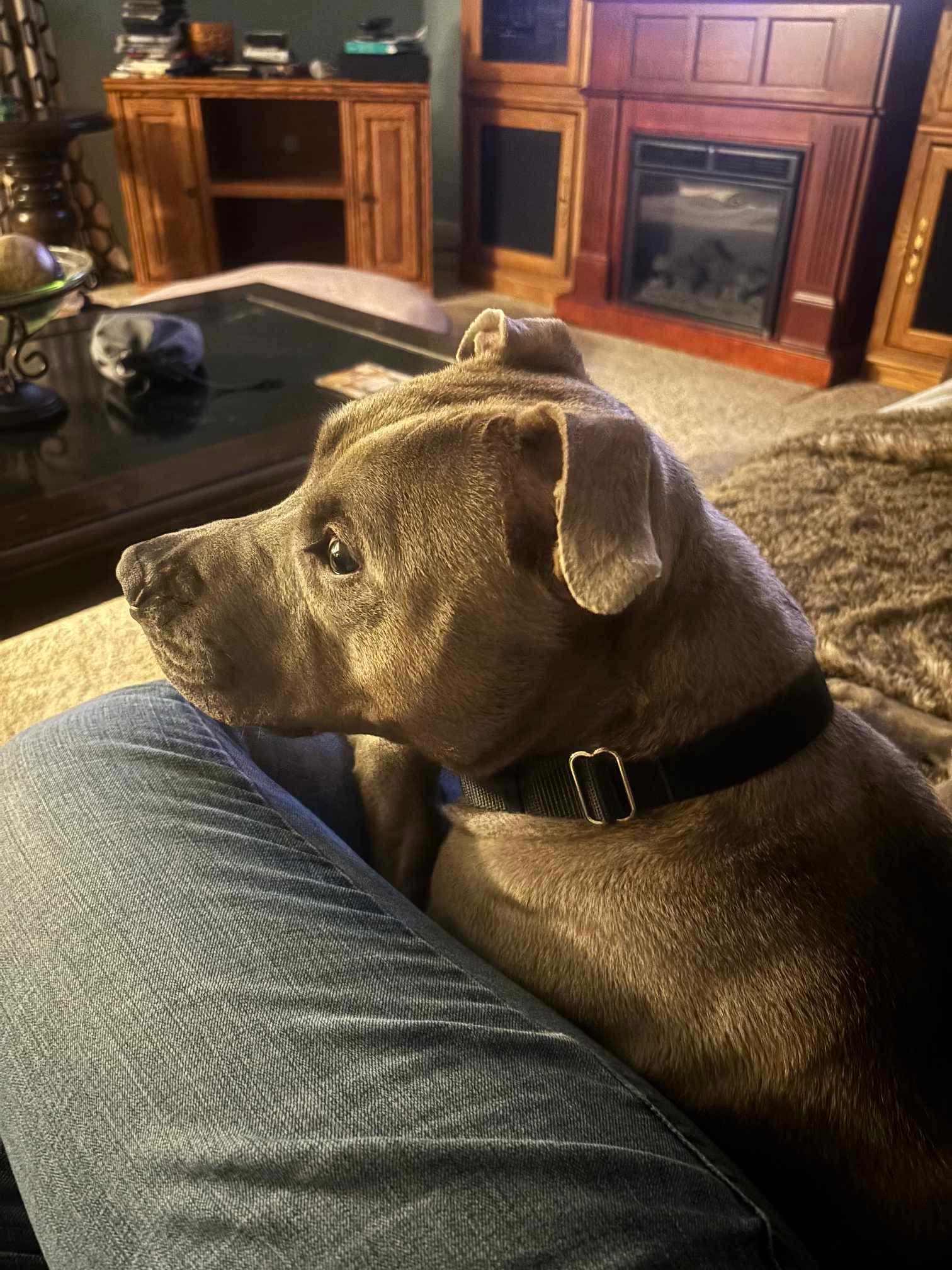Barkley photo 4