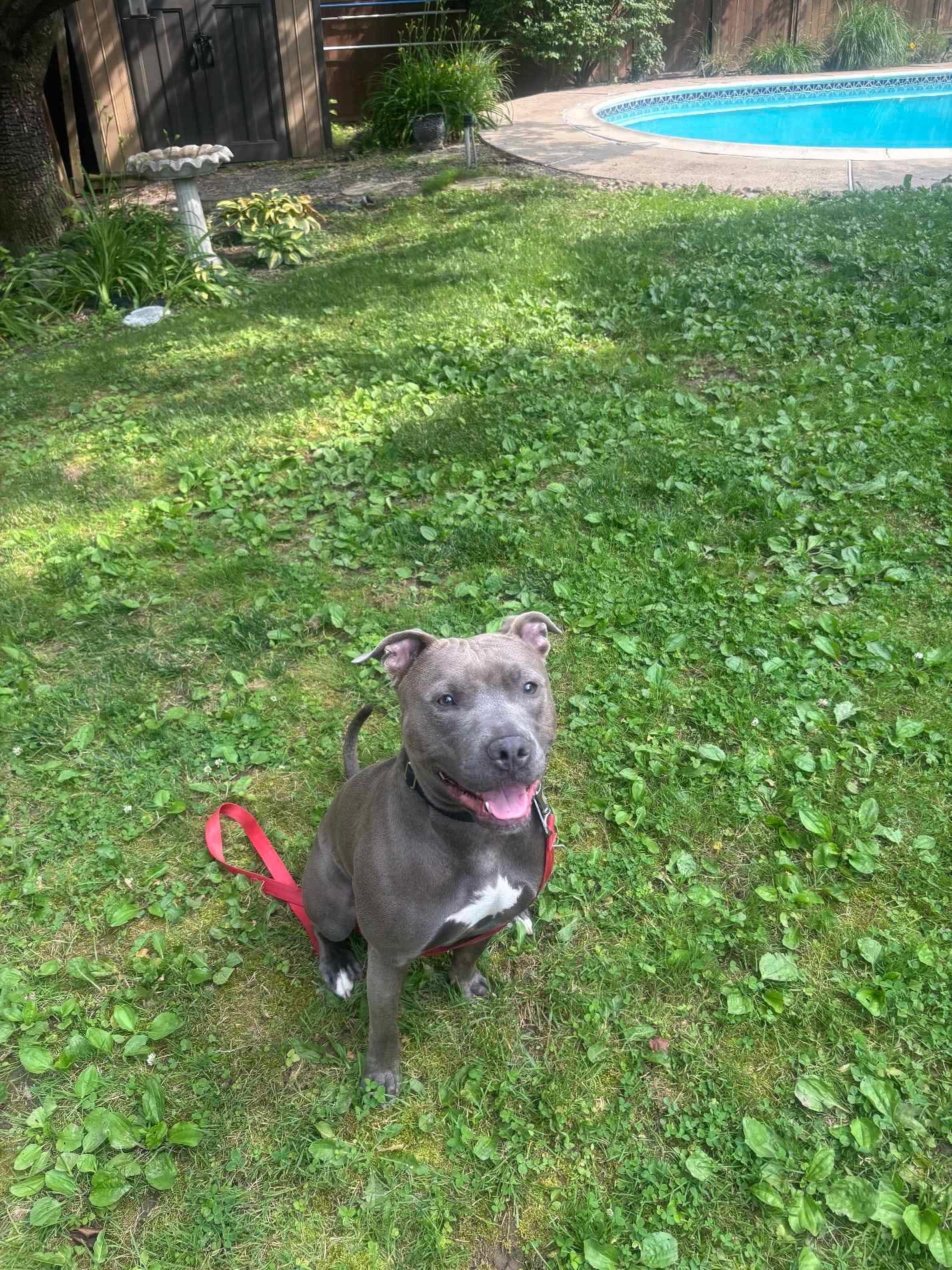 Barkley photo 3