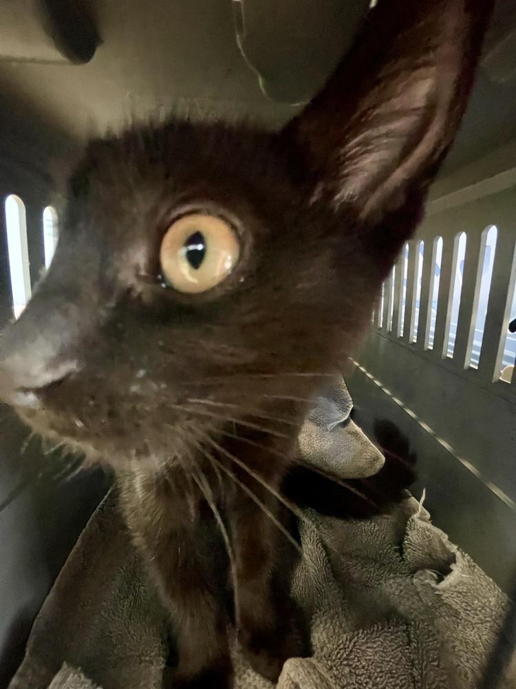 Joseph — thumbnail 3