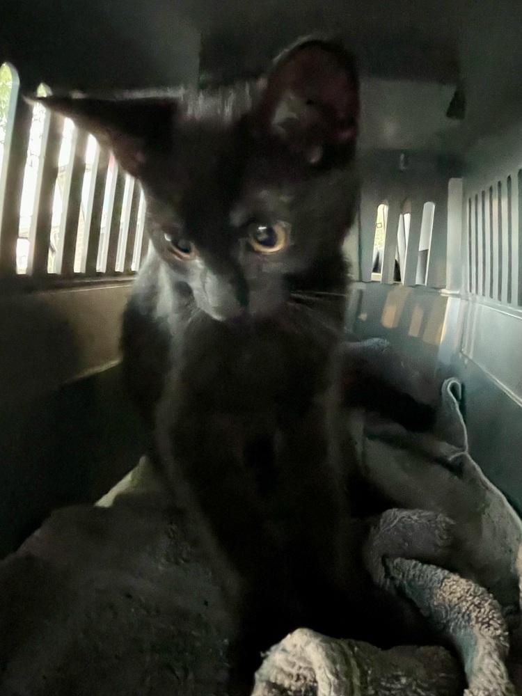 Joseph — thumbnail 4