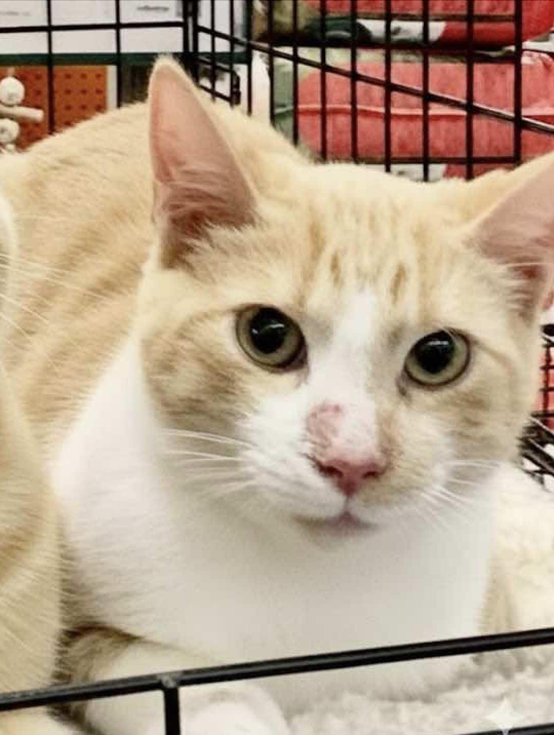 Marvin and Murry (Brothers)